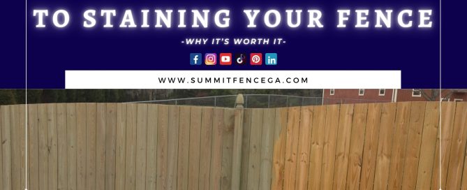 Ultimate guide to fence staining