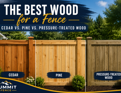 Best Wood for a Fence: Cedar vs. Pine vs. Pressure-Treated Wood