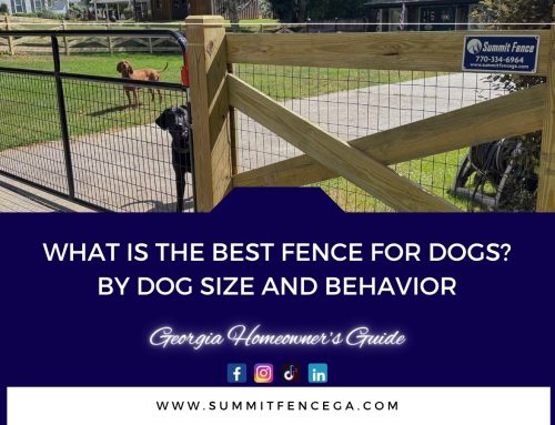 What Is the Best Fence for Dogs? A Georgia Homeowner’s Guide by Dog Size and Behavior
